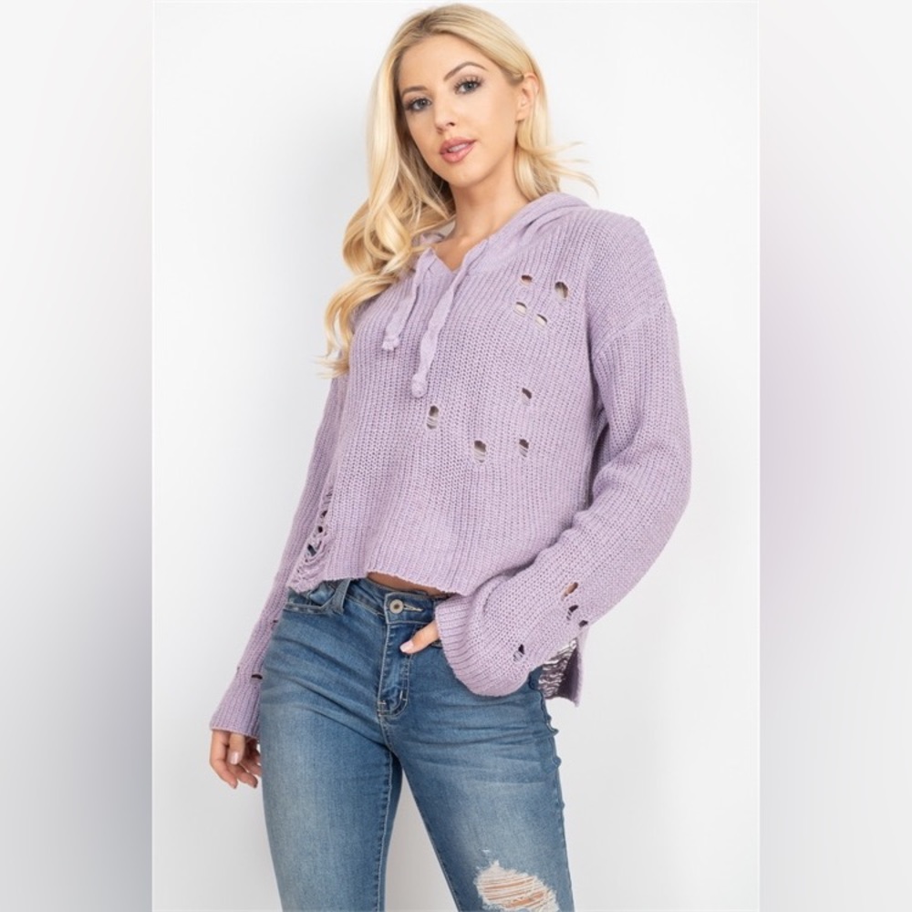 Boutique Distressed Hoodie